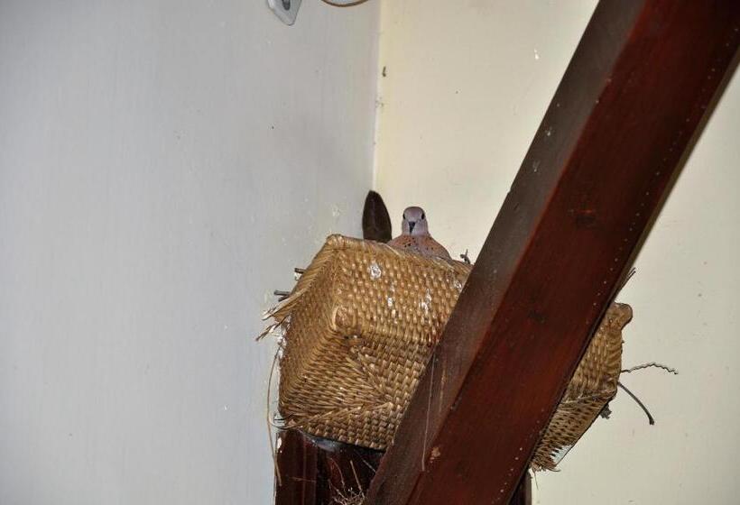 Eski Masal Hotel Special Class