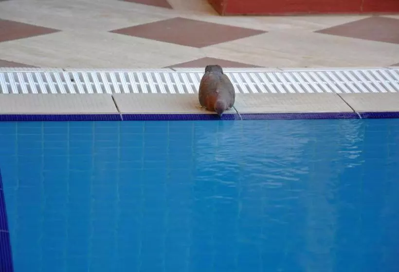 Eski Masal Hotel   Special Class