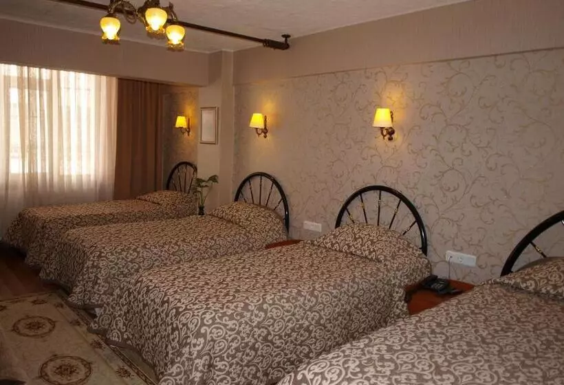 בית מלון כפרי Nezih Istanbul