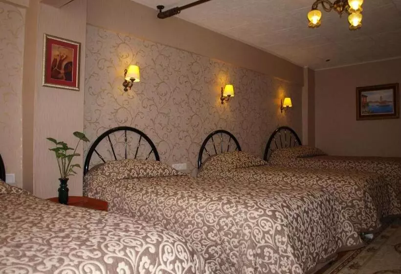 בית מלון כפרי Nezih Istanbul