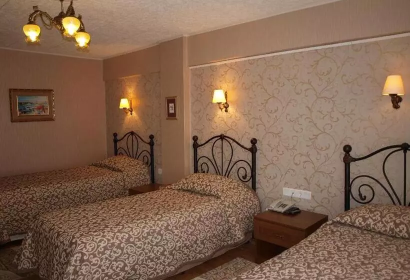 בית מלון כפרי Nezih Istanbul