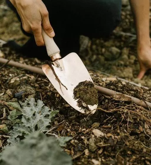 乡村酒店 Agriturismo I Pini