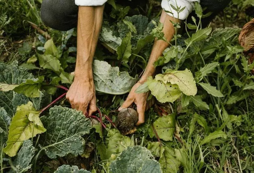 乡村酒店 Agriturismo I Pini