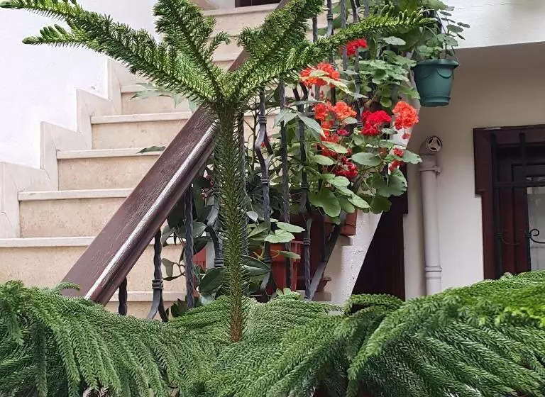 Hotel Villa Sphendone Suites Istanbul