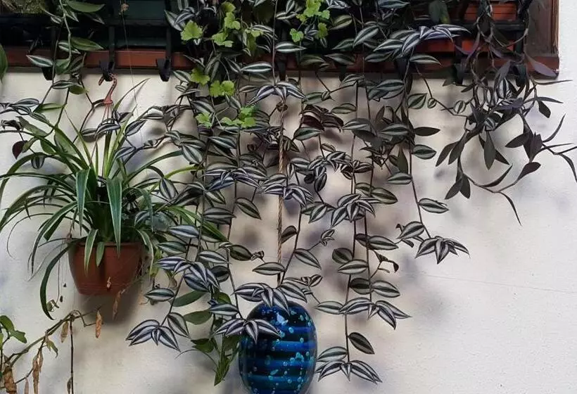 Hotel Villa Sphendone Suites Istanbul