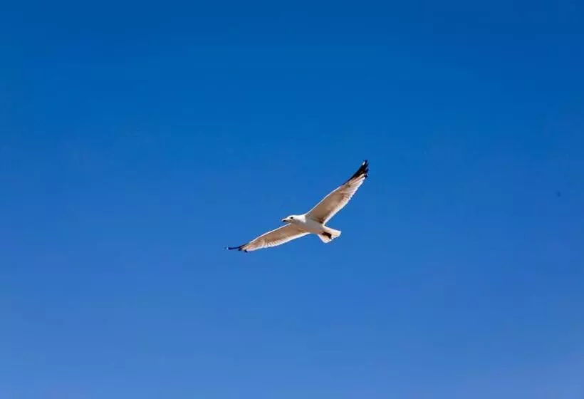 Hotel Villa Sphendone Suites Istanbul