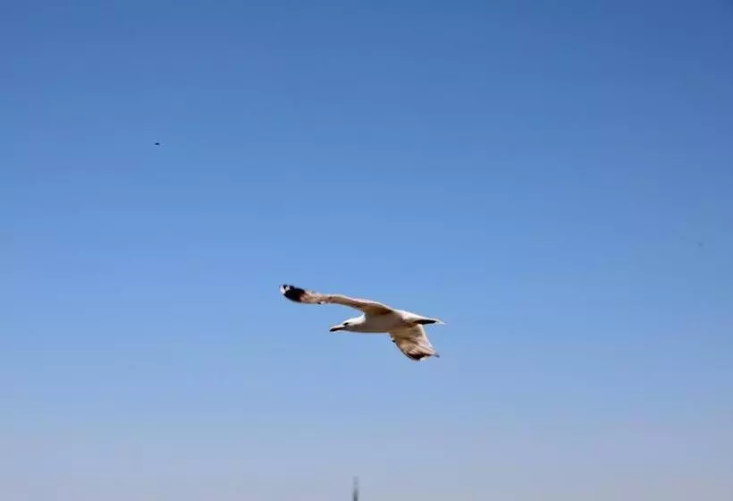 Hotel Villa Sphendone Suites Istanbul