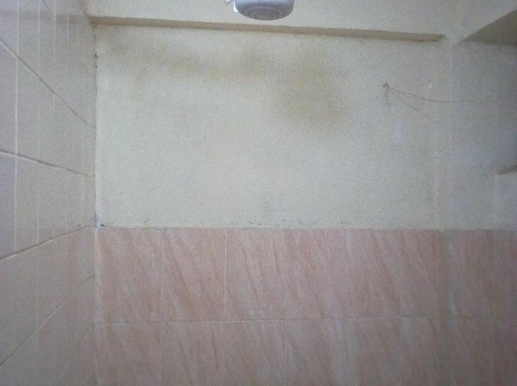 پانسیون Kings And Queens Lounge