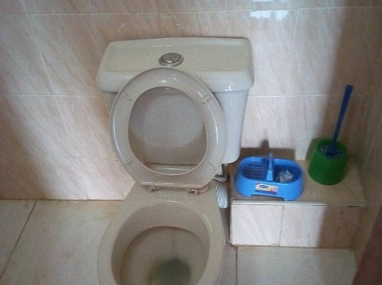 پانسیون Kings And Queens Lounge