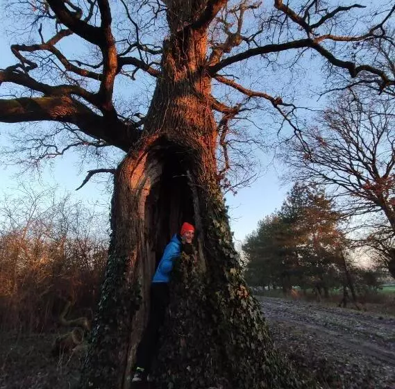 Majatalo La Belle Etoile