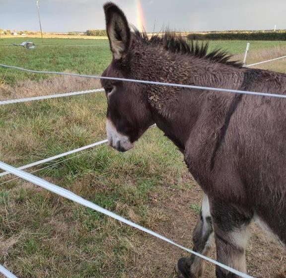 펜션 La Belle Etoile