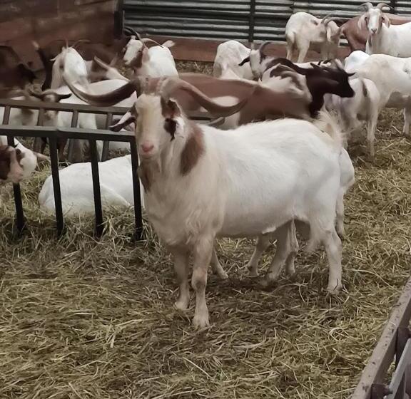 펜션 La Belle Etoile