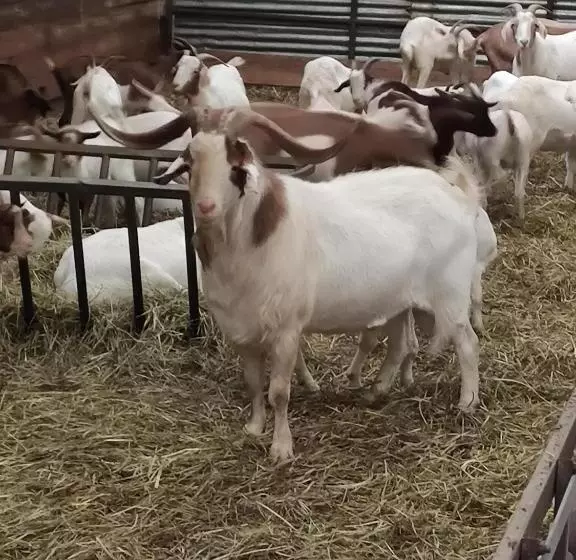 Majatalo La Belle Etoile