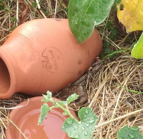 펜션 La Belle Etoile