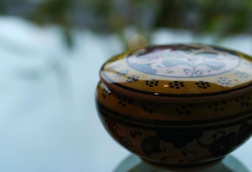 בית מלון כפרי Ichidaya