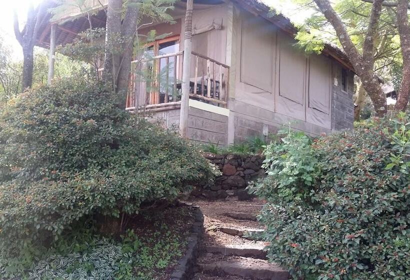 هتل Maili Saba Camp