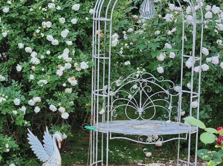 B&b Dressings Traumgarten