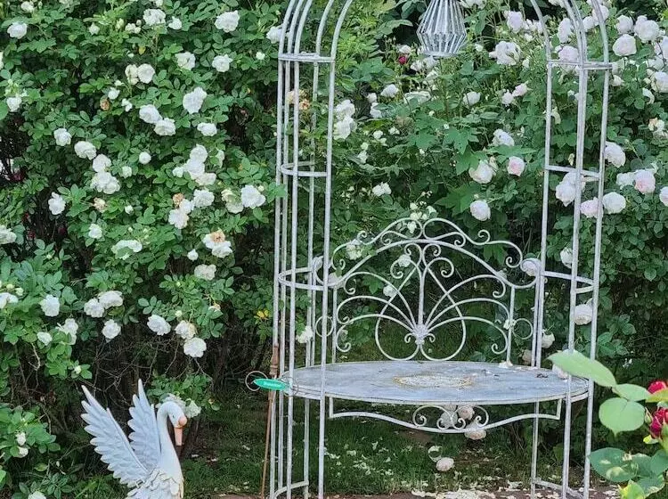 B&b Dressings Traumgarten