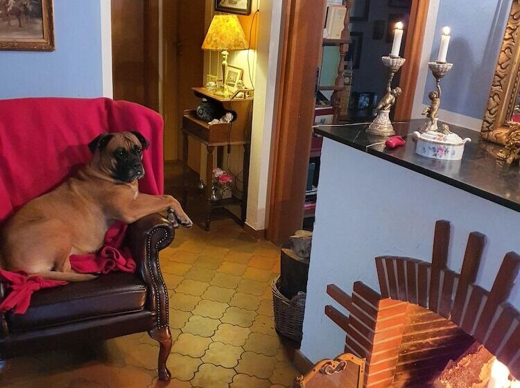 B&b Dressings Traumgarten