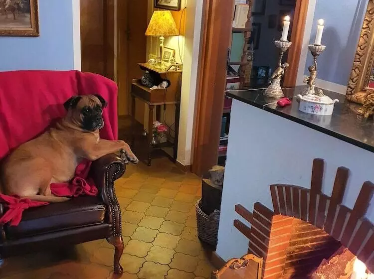 B&b Dressings Traumgarten