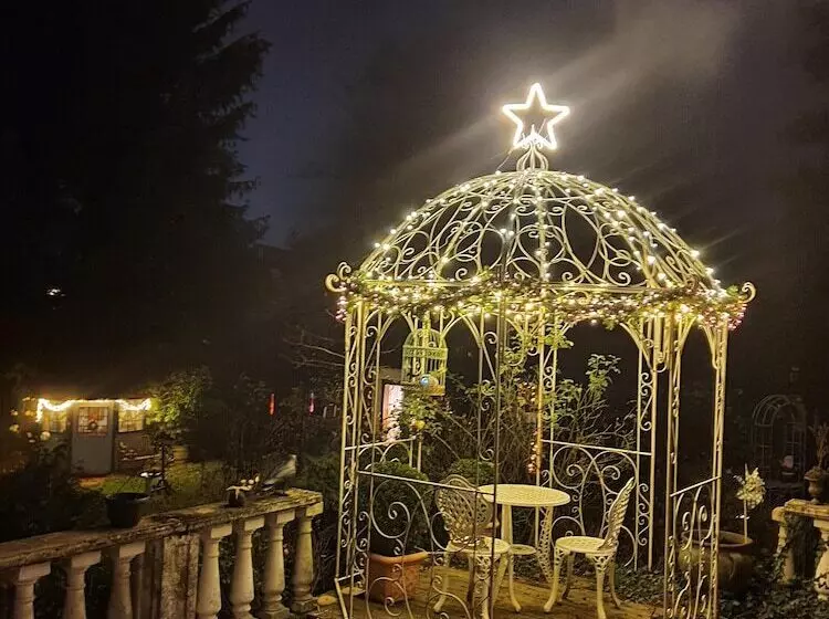 B&b Dressings Traumgarten