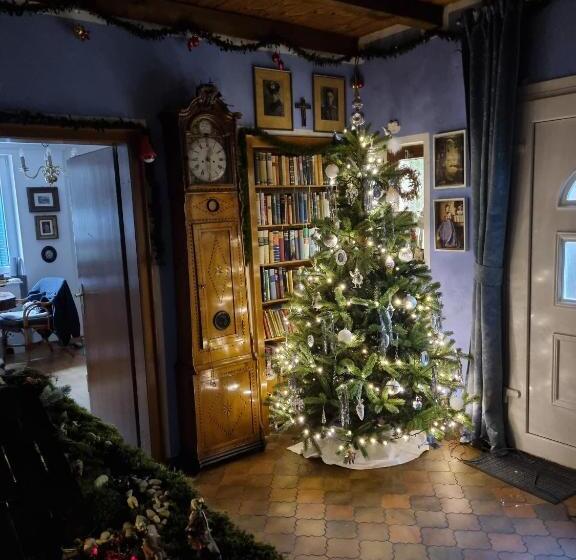 B&b Dressings Traumgarten