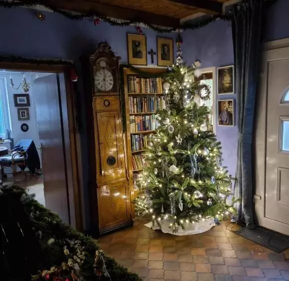 B&b Dressings Traumgarten