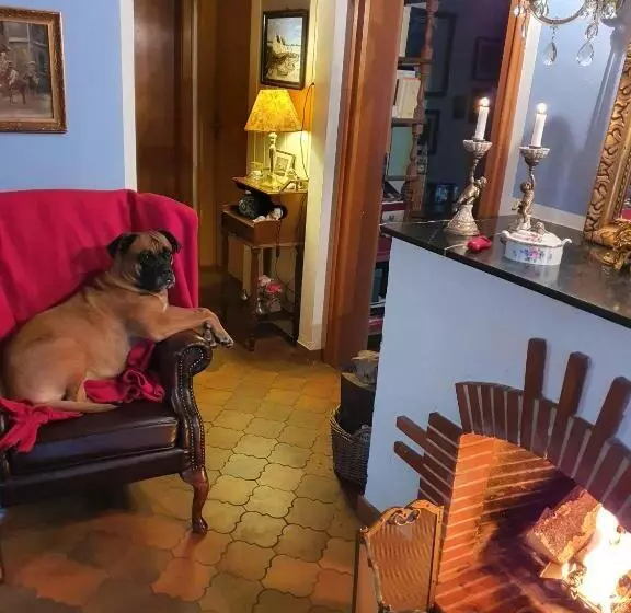 B&b Dressings Traumgarten