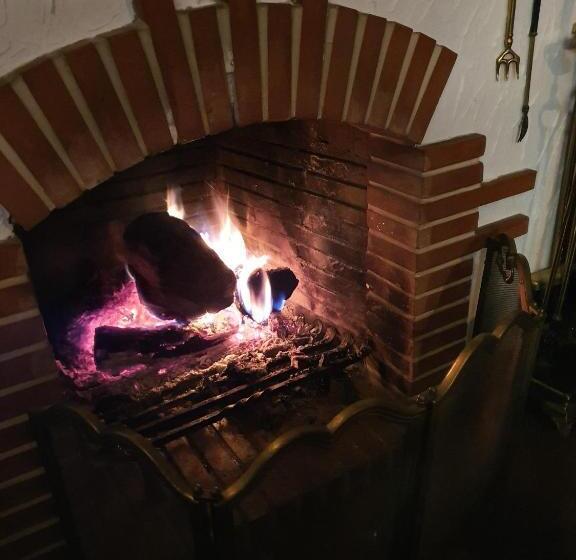 B&b Dressings Traumgarten