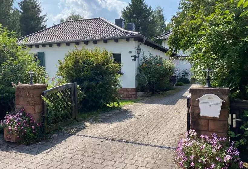 B&b Dressings Traumgarten