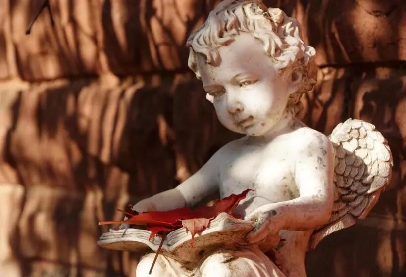 B&b Dressings Traumgarten