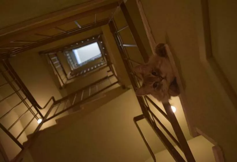 Aamiaismajoitus (B&B) Le Rossi Bed