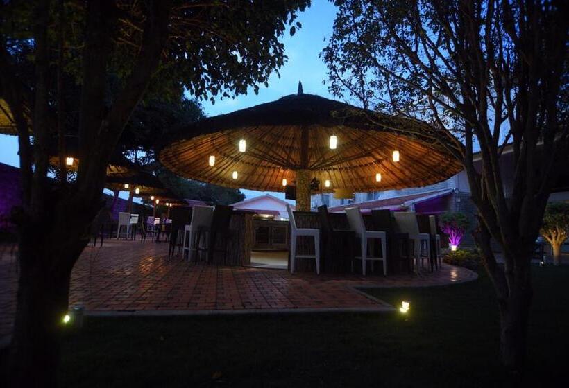 Szálloda Dvg Socials Retreat