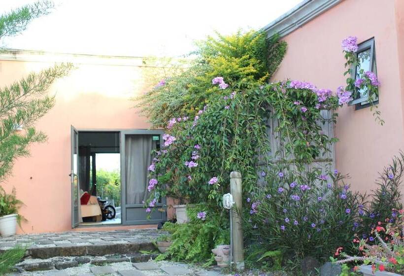 هتل Gite Des Acacias