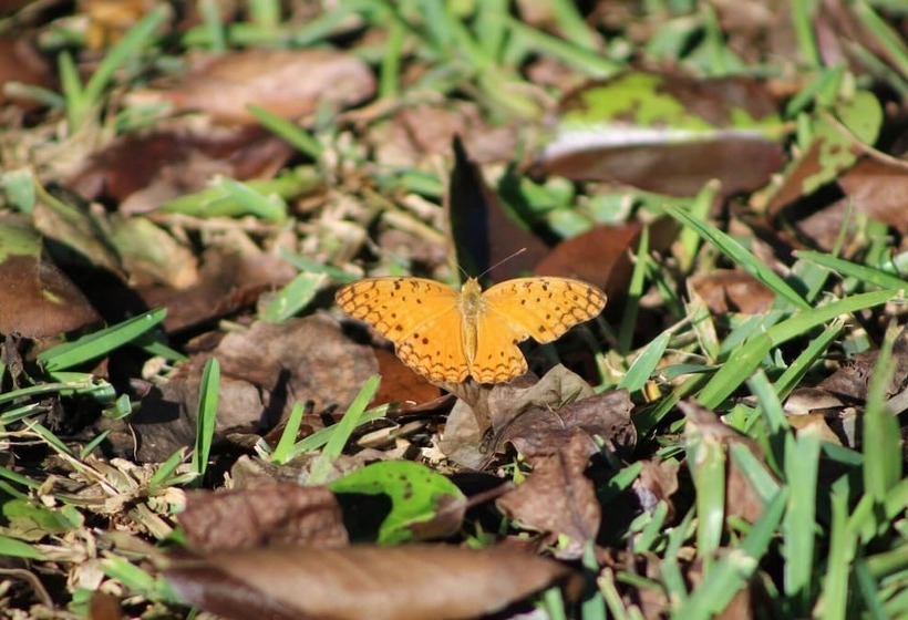 هتل Gite Des Acacias