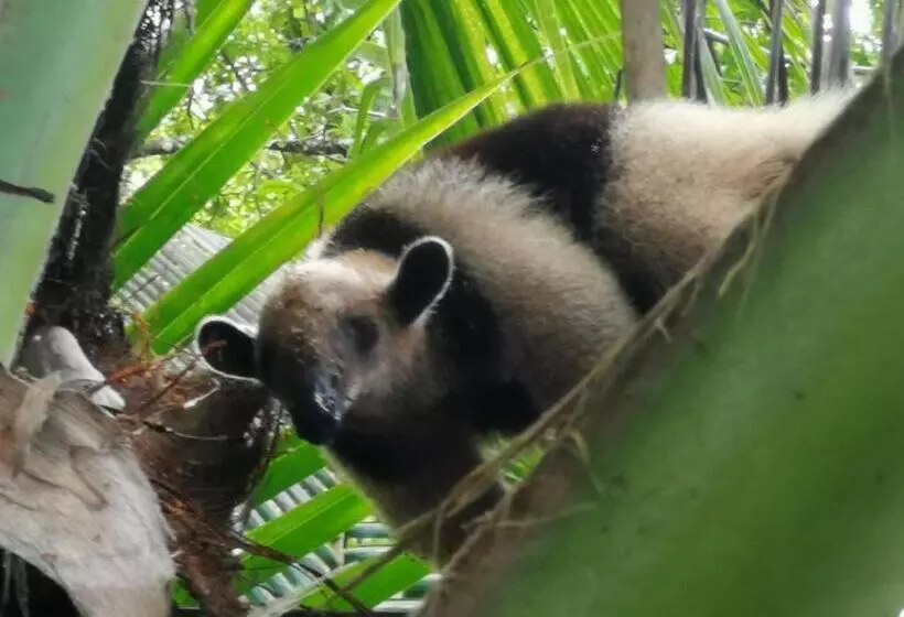 Majatalo Surá House Corcovado Habitación Big