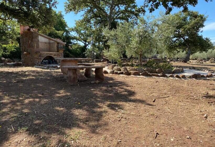 Отель Agriturismo Abbalughente