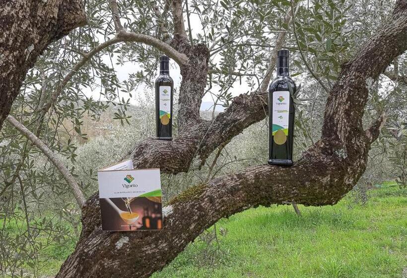 هتل Agriturismo Cuorelieto Del Cilento