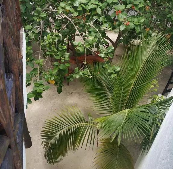 ホテル Posada Yalekin Holbox