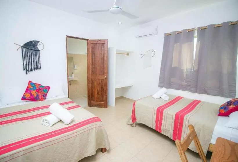 ホテル Posada Yalekin Holbox