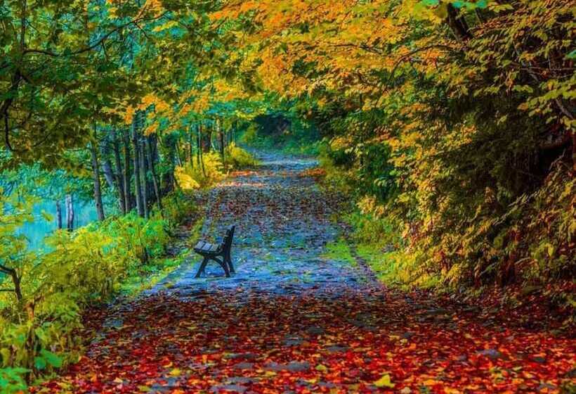 Hotel Savsat Karagol