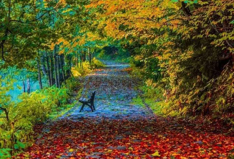 Hotelli Savsat Karagol