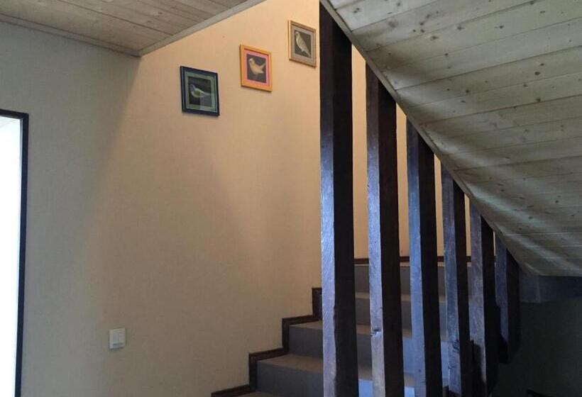 پانسیون Arte In Kazbegi