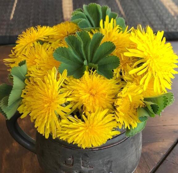 پانسیون Arte In Kazbegi