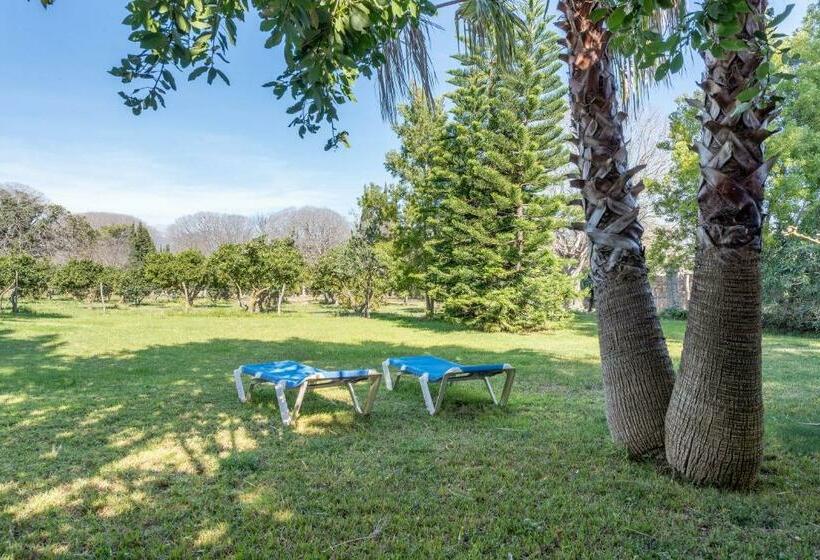 Pensió Son Vivot   Doble Estandar