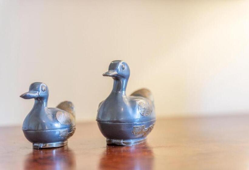 Pensió Son Vivot   Doble Estandar