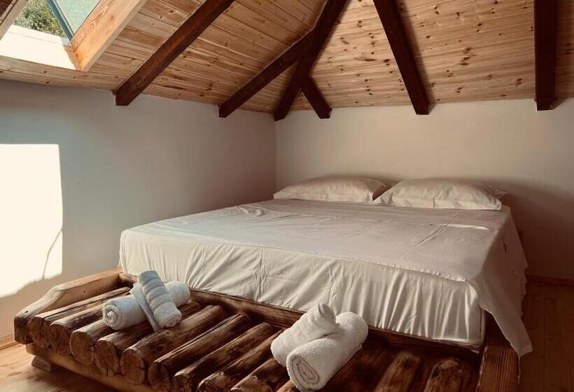 酒店 Bujtina Maria