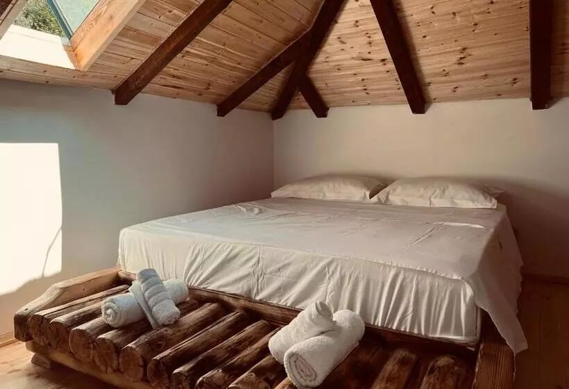 ホテル Bujtina Maria