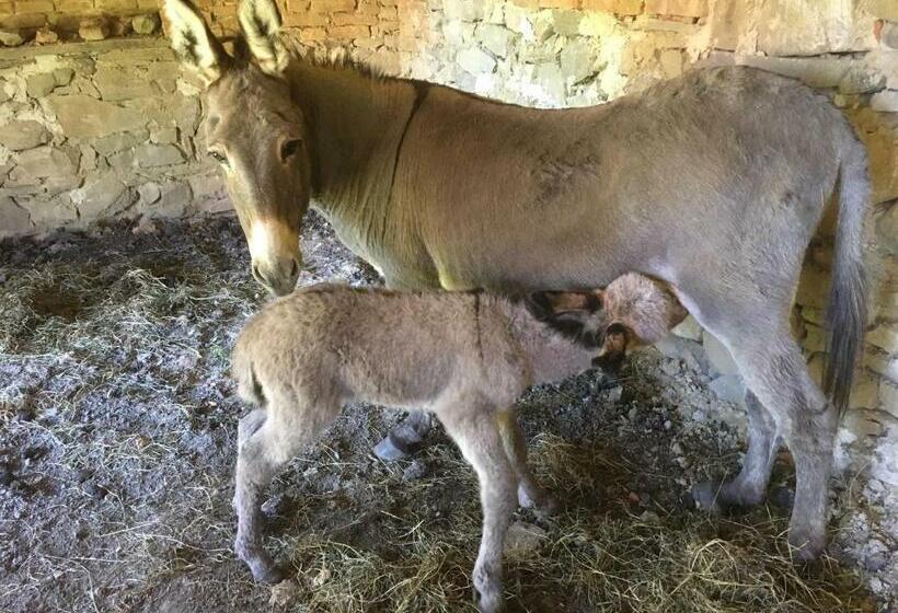 Hotell La Hansi In Crit