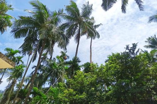 فندق Spot On 79752 Ashoka Villa